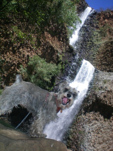 AQUI FUE DE PASEO A TAPALPA, JALISCO